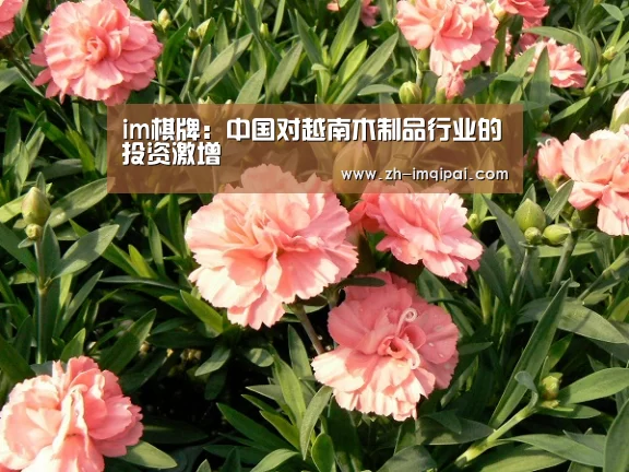 im棋牌:中国对越南木制品行业的投资激增(图3) im棋牌