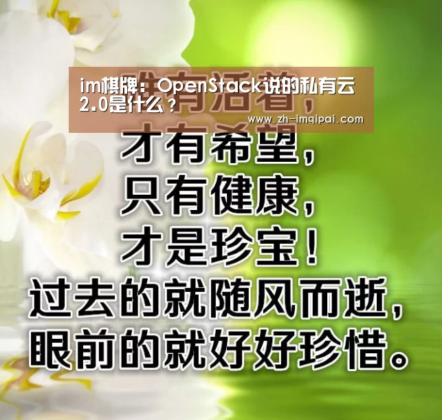im棋牌:OpenStack说的私有云2.0是什么?(图2) im棋牌