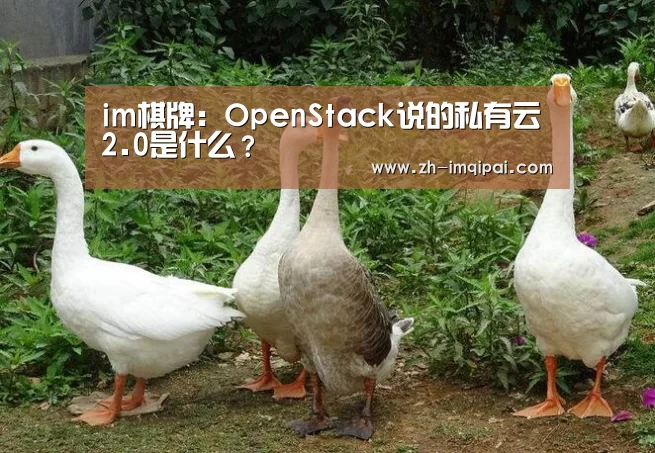 im棋牌:OpenStack说的私有云2.0是什么?(图3) im棋牌