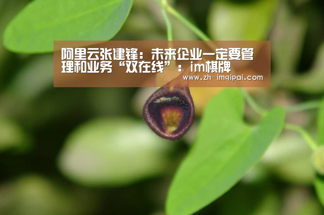 阿里云张建锋:未来企业一定要管理和业务“双在线”:im棋牌(图2) im棋牌