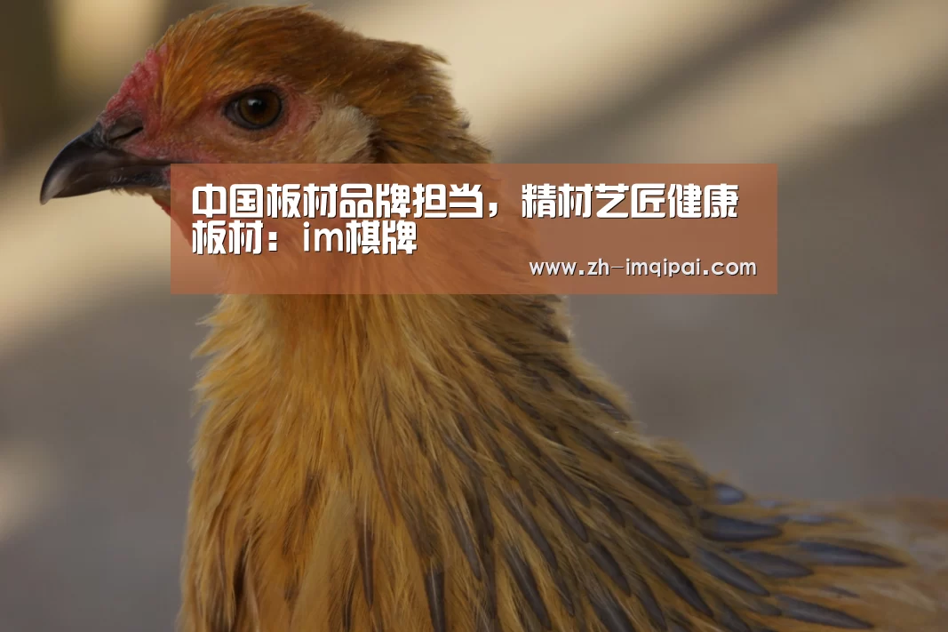 中国板材品牌担当,精材艺匠健康板材:im棋牌(图2) im棋牌