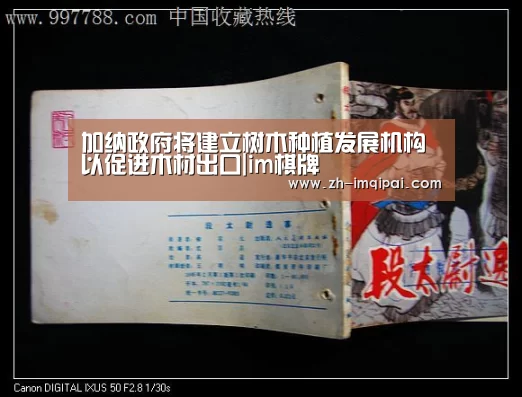 加纳政府将建立树木种植发展机构以促进木材出口|im棋牌(图1) im棋牌