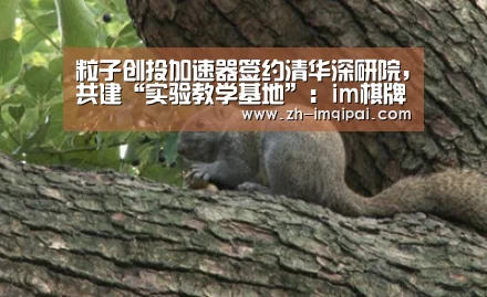 粒子创投加速器签约清华深研院,共建“实验教学基地”:im棋牌(图3) im棋牌